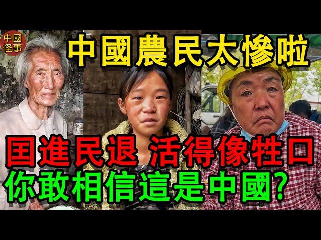 中國百姓太慘啦！你瞭解最真實的中國嗎？中國農民被用完就被政府抛棄，中國官員富得流油，中國人卻窮的揭不開鍋。中國農民打工一身病，70嵗種地只爲活著...#中国百姓 #中國經濟 #大陸經濟 #農民工