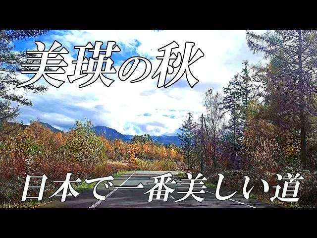 【北海道 美瑛】紅葉の秋と十勝岳初冠雪  日本で一番美しい道～青い池ほか　４Ｋ