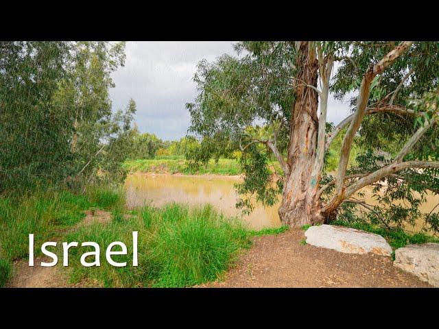 Relaxing Rain and The Nature of Israel. Full Immersion in Deep Sleep. Sorek River