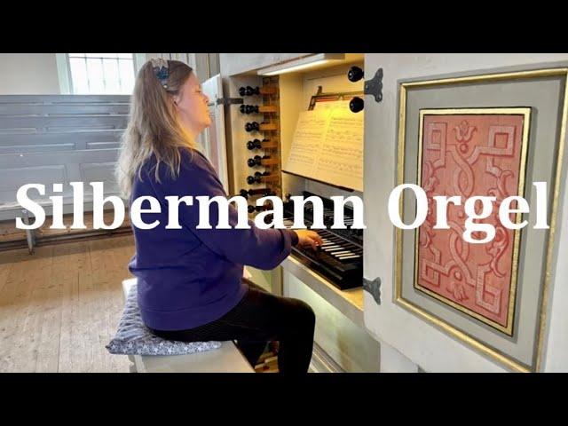 Silbermann Orgel Glauchau - Orgel Vlog AHS, Orgelvermittlung