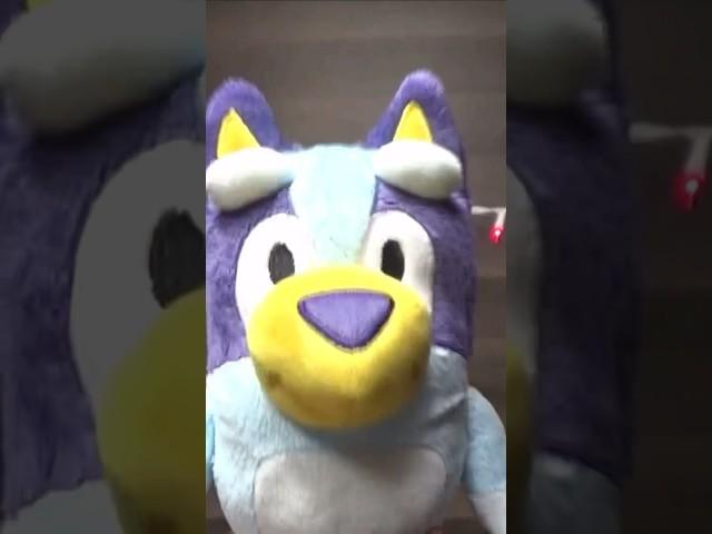 BLUEY JOINS VSW SPIKE