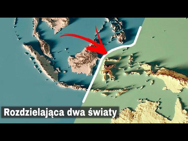 Niesamowita Linia Rozdzielająca Dwa Światy