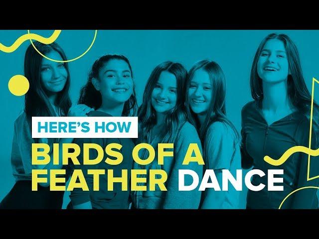 BIRDS OF A FEATHER | Official Dance Video | Chicken Girls Cast