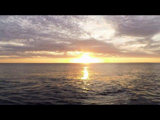 LaRoxx Project - Sunshine Love (SandRock Official 2019) [Remix]
