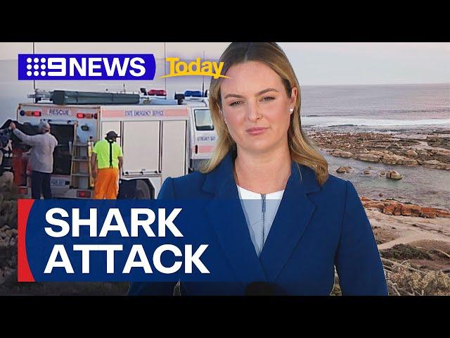 Search continues for shark attack victim | 9 News Australia