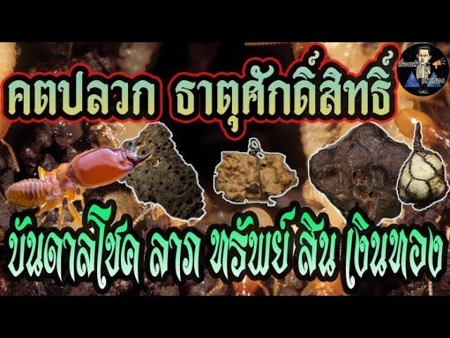 คตปลวก | ธาตุศักดิ์สิทธิ์ | ของดีหายาก | ของทนสิทธิ์ | ธาตุกายสิทธิ์..!!