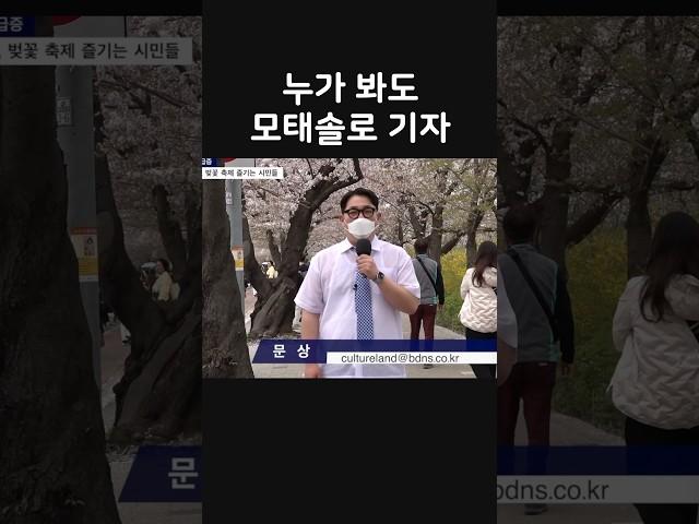 벚꽃 축제의 불청객 기자 (레전드 방송사고)