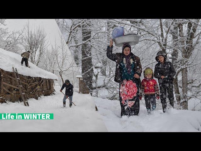 Life in Winter at Village of Talesh Mountains Episode Three | Country Life Series