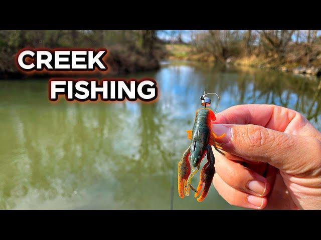 Winter Creek Bass Fishing...How?