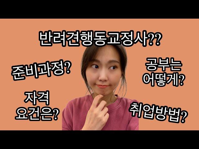 반려견행동교정사가 되려면? (취업방법, 공부방법, 준비과정, 자격요건 등) 행동교정사로서 시원하게 말씀드릴게요‍️