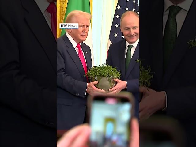 'I love the Irish', says Trump at shamrock ceremony