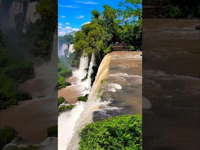 Falling in love with Iguazu #shorts #waterfall #iguazu #amazing #wanderlust #brazil #travel #couple