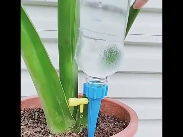 12PCS Auto Plant Self Watering Device Slow Release Watering System Automatic Device Bottle Watering