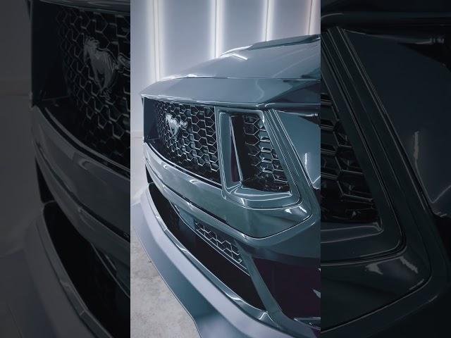 Paint correction, 2 stage ceramic coating, PPF #2024mustanggt #s650mustang #stanggang #fordmustang