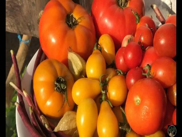 National Permaculture Convergence 2016 - Rosie & Peter on Permaculture Kitchen Garden & Food Forest
