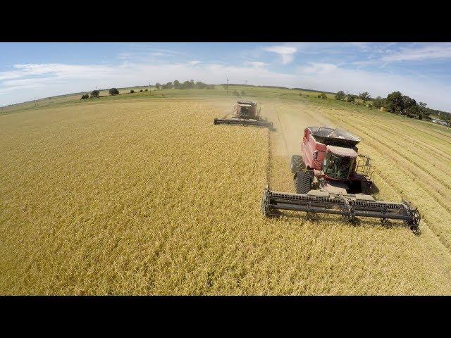 Arkansas Rice Harvest 2017