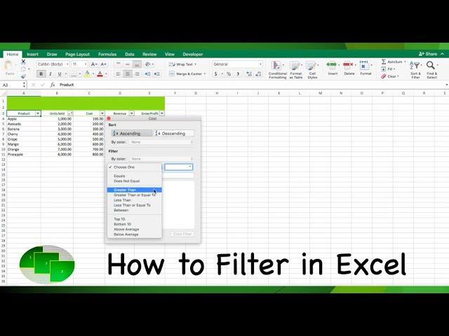 How to Filter in Excel