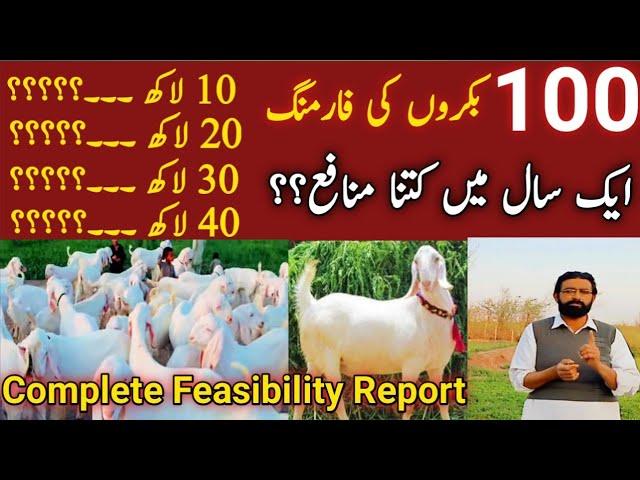 Feasibility report of 100 goats | Bakra Farming In Pakistan | Goat Farming | Profit of goat