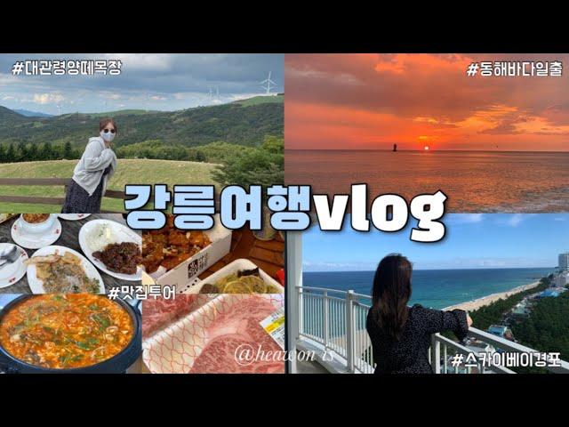 강릉여행vlog 스카이베이경포, 대관령 삼양목장 , 9남매집, 썸머키친, 순두부젤라또, 낙산사