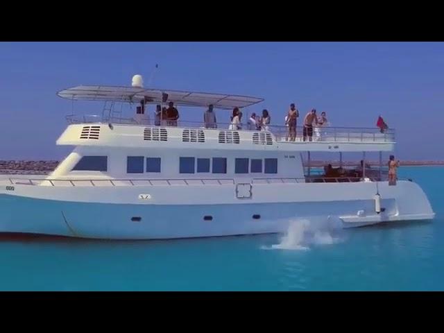 夏季船p 遊船河️ || Summer Yacht Party️| YachtHolimood