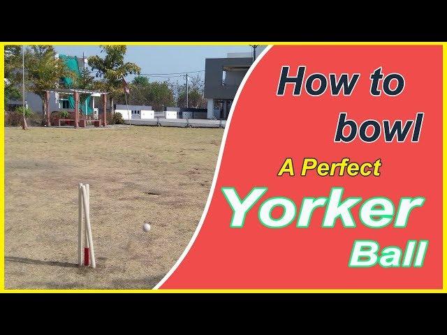 How to bowl Yorker ball | Bowling Technique | Cricket |