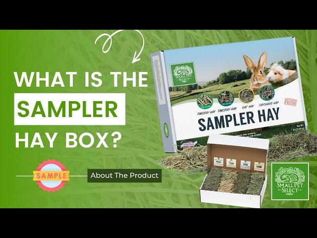 Have a Picky Pet? Try The Sampler Hay Box | Small Pet Select