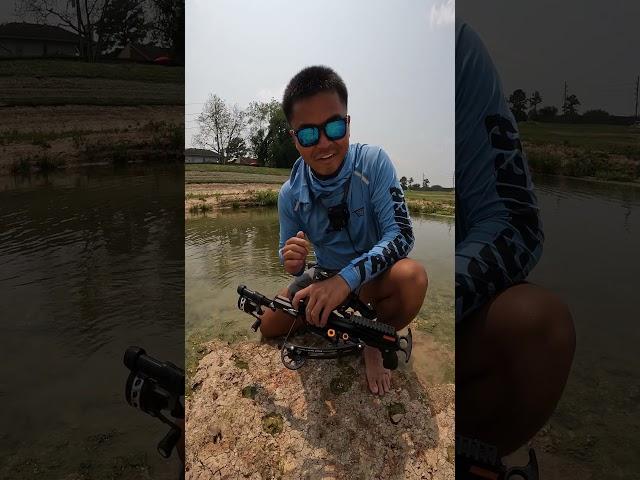 Mini CROSSBOW Fishing For HIGHLY INVASIVE FISH (MASSIVE)