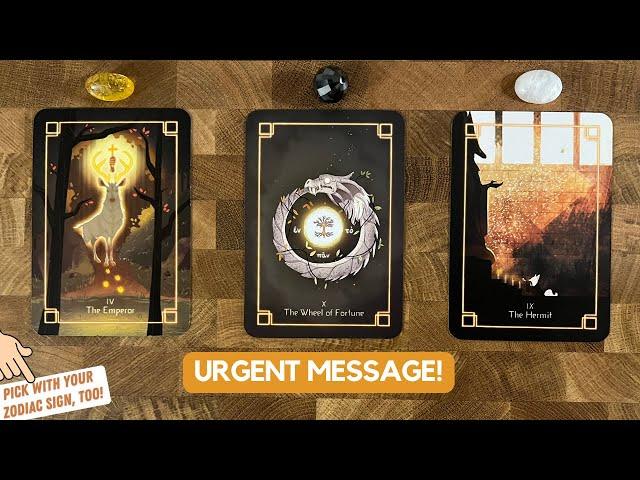 An Urgent Message From Your Spirit Guides! | Timeless Reading