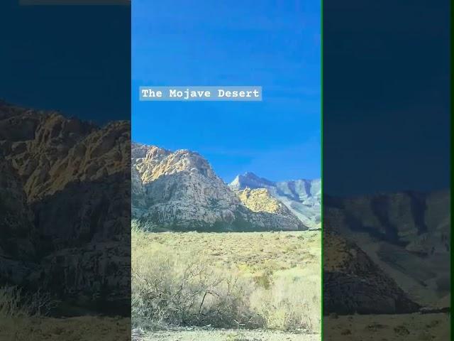 Red Rock in the Mojave Desert.  Full video coming soon! #redrockcanyon #mojave #lasvegas