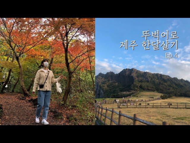 혼자서 제주 한달살기 Ep.4 | 비자림, 성산일출봉 | 종달리에서 미궁속으로 빠지다,, | 마크라메 배워보기! (feat.친구)