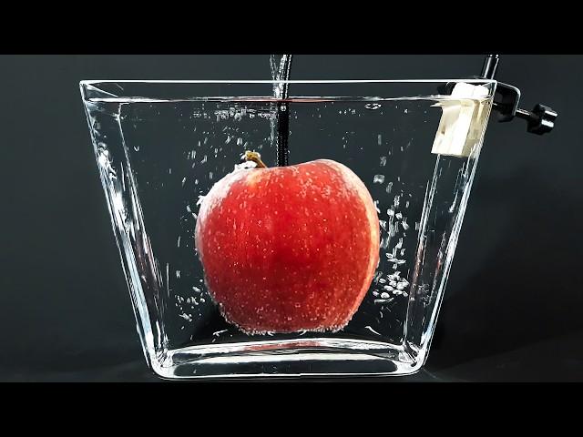 THIS APPLE WOULD KILL YOU - 1 YEAR underwater