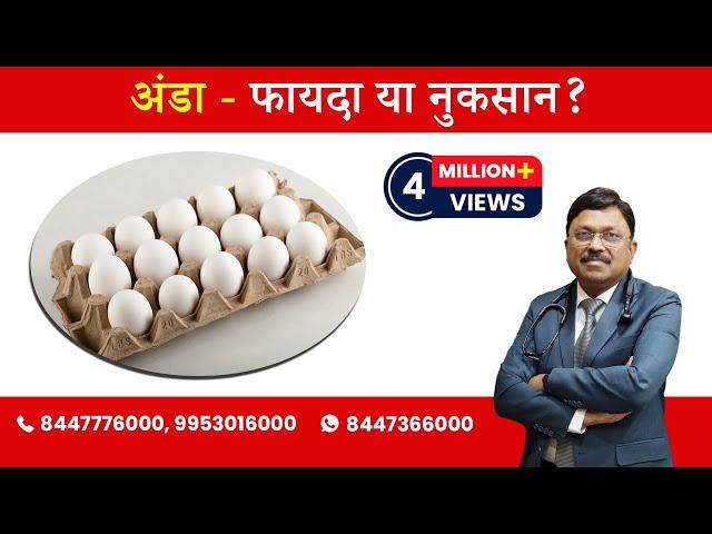 Egg : Harmful or Beneficial? | By Dr. Bimal Chhajer | Saaol