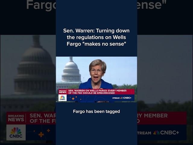 Sen. Warren: Turning down the regulations on Wells Fargo 'makes no sense'