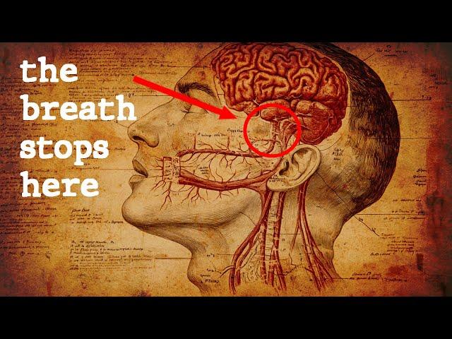 The LOST science of breathing they don’t want you to know.