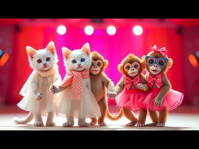 Cat & Monkey Dance Show #001  | Funniest Video Ever! #funnycat #dancingmonkey