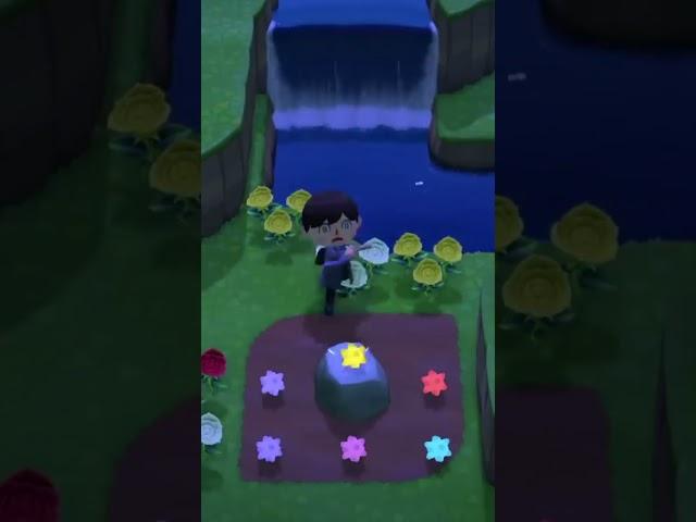 How to Visit Star Island in Animal Crossing!