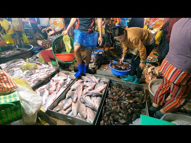 #1: Early Morning at Fish and Seafood Supply Market | Cambodia 2023 | Food Market