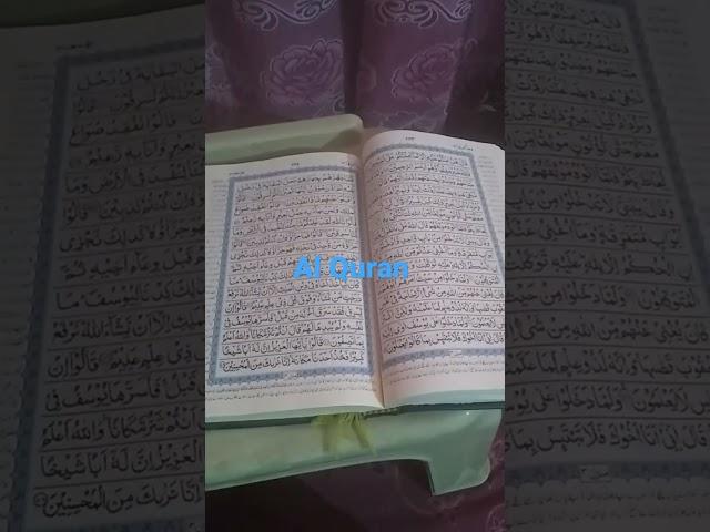 i love allah and quran forever