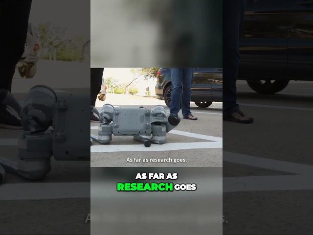 Unitree's Cost-Effective Robotics: A Smart Alternative to Boston Dynamics