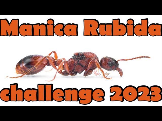 Manica Rubida Challenge 2023