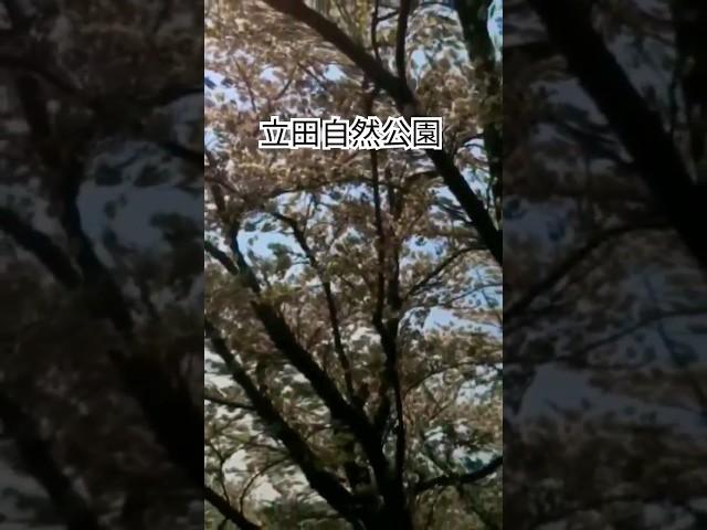 立田自然公園