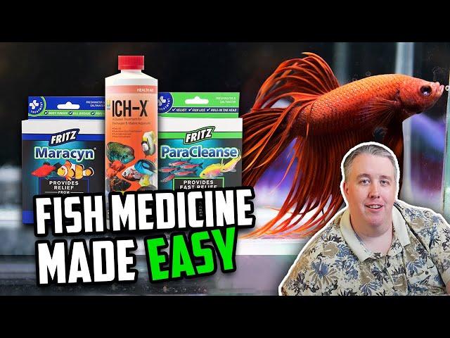 How to Treat Sick Fish with the Quarantine Medication Trio