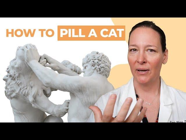 How to Give a Cat a Pill : 3 Vet-Approved Methods