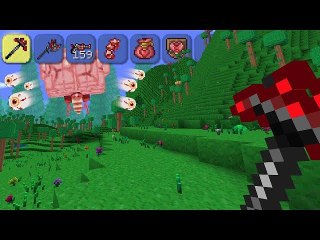 Minecraft's Terraria Mod is Incredible Now!