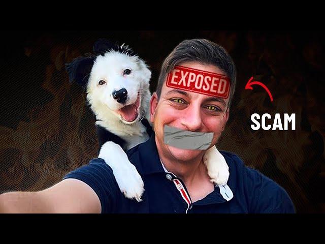 Zak George: Dog training's BIGGEST fraud