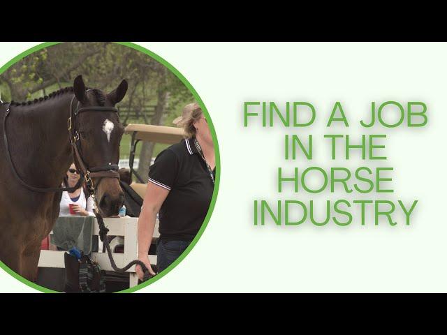 Groom job standards and where to find a horse grooming job