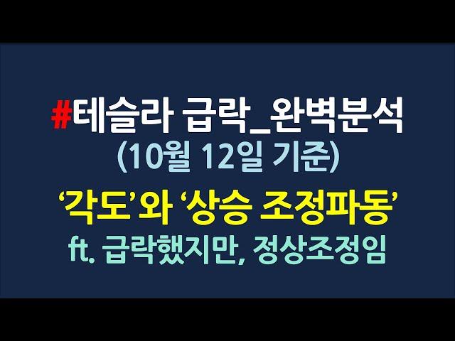 테슬라 완벽분석 & 매수타점_10월12일