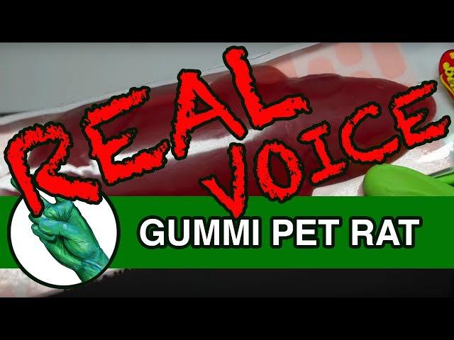 Jelly Belly Pet Rat Gummi Candy - Runforthecube Real Voice