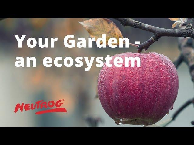 Neutrog TV | Your Garden - an ecostystem + Gyganic