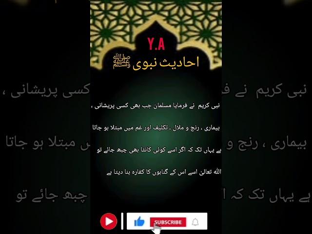 Daily Hadees
